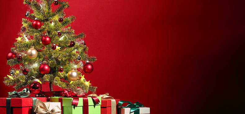 los colores de la navidad pinar