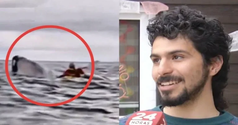 este joven en chile fue tragado por una ballena y luego fue expulsado