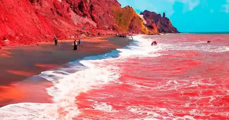 Un reciente vídeo viral en redes sociales mostró una isla cubierta por “ríos de sangre” bajo una intensa lluvia, que al final...