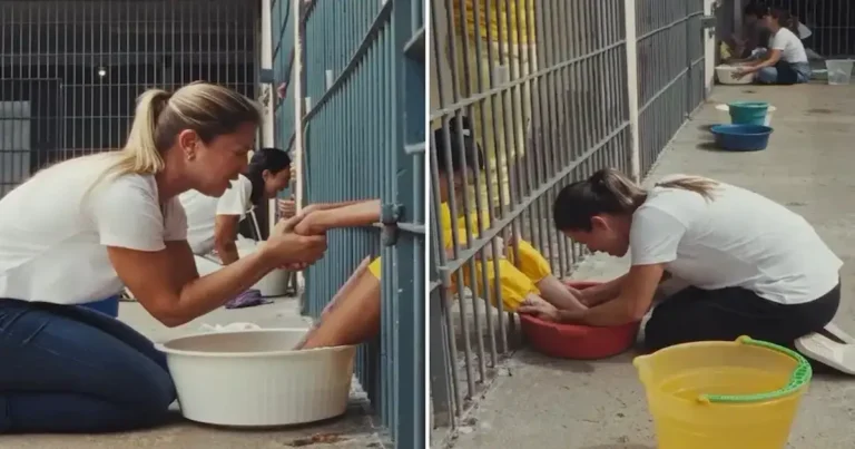 Cristianas lavando pies de reclusas