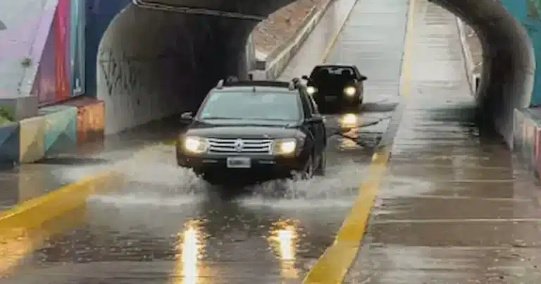 A fines de agosto, la temida “Tormenta de Santa Rosa” vuelve a hacerse sentir, dejando consecuencias visibles y alterando...