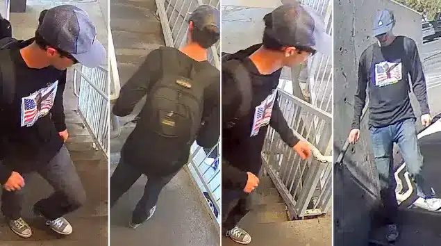 Captura de pantalla 2025 09 12 114729