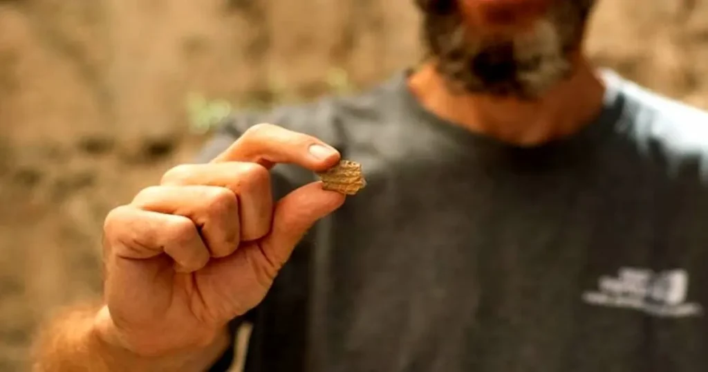 Um fragmento de cerâmica com inscrição em escrita cuneiforme, datado de cerca de 2.700 anos, foi descoberto durante escavações arqueológicas em Jerusalém