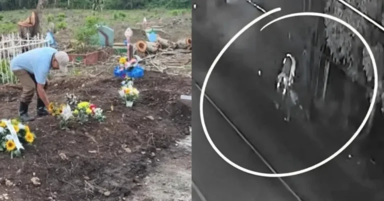 Una profunda conmoción sacude al barrio Malecón 2 de Santa María de Pantasma, Jinotega, tras el trágico suicidio de Héctor Geovanny Hernández, un hombre de 48 años