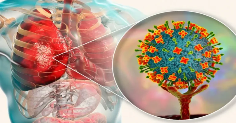 Dos casos confirmados de infección por el virus Nipah en el estado de Bengala Occidental, en la India, han reactivado la preocupación sanitaria en el país