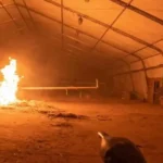 Al menos 60 cristianos fueron asesinados en un violento ataque atribuido al grupo yihadista Estado Islámico en la provincia de Ituri,