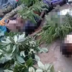 Una nueva ola de violencia sacudió a Nigeria el pasado Domingo de Ramos, dejando al menos 30 personas muertas en ataques dirigidos contra