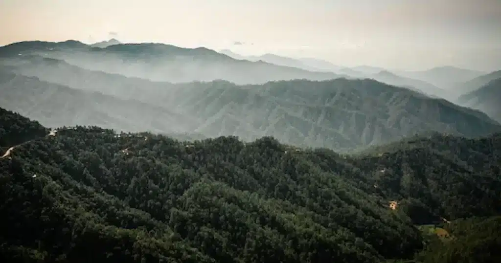 Una región conocida como el “Círculo del Silencio” se ha convertido en uno de los entornos más hostiles para los cristianos en México,