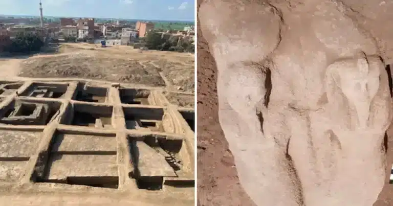 Arqueólogos egipcios anunciaron el hallazgo de una enorme estatua que, según los primeros análisis, representaría al faraón Ramsés II,