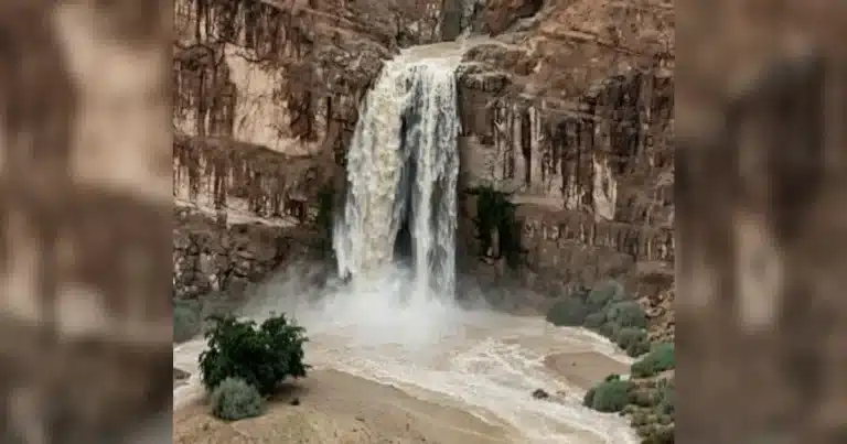 El desierto de Judea volvió a sorprender con uno de sus fenómenos naturales más impactantes: el cauce seco del río Hever se llenó repentinamente