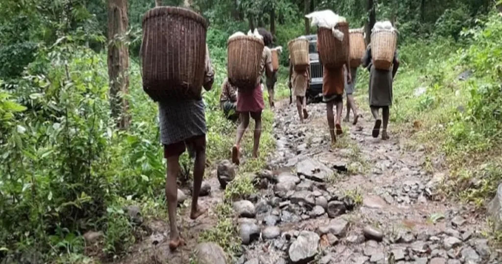 Más de 180 familias cristianas están atravesando una situación crítica en el estado de Chhattisgarh, en el centro de la India,