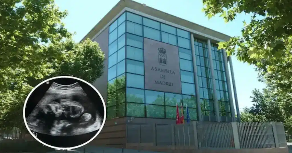 La Asamblea de Madrid aprobó en una sesión extraordinaria la denominada "Ley del Niño por Nacer"