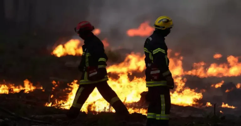 Los incendios forestales continúan causando estragos en Francia y España, donde las llamas han obligado a evacuar a cerca de 300.000