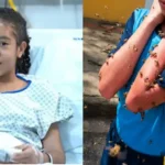 Una niña cristiana de 12 años conmovió al contar cómo sobrevivió a un violento ataque de abejas y atribuyó su rescate a la intervención de Dios.