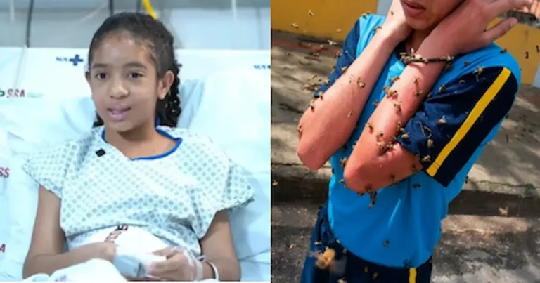 Una niña cristiana de 12 años conmovió al contar cómo sobrevivió a un violento ataque de abejas y atribuyó su rescate a la intervención de Dios.